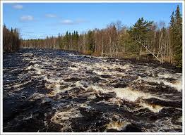Vikaköngäs