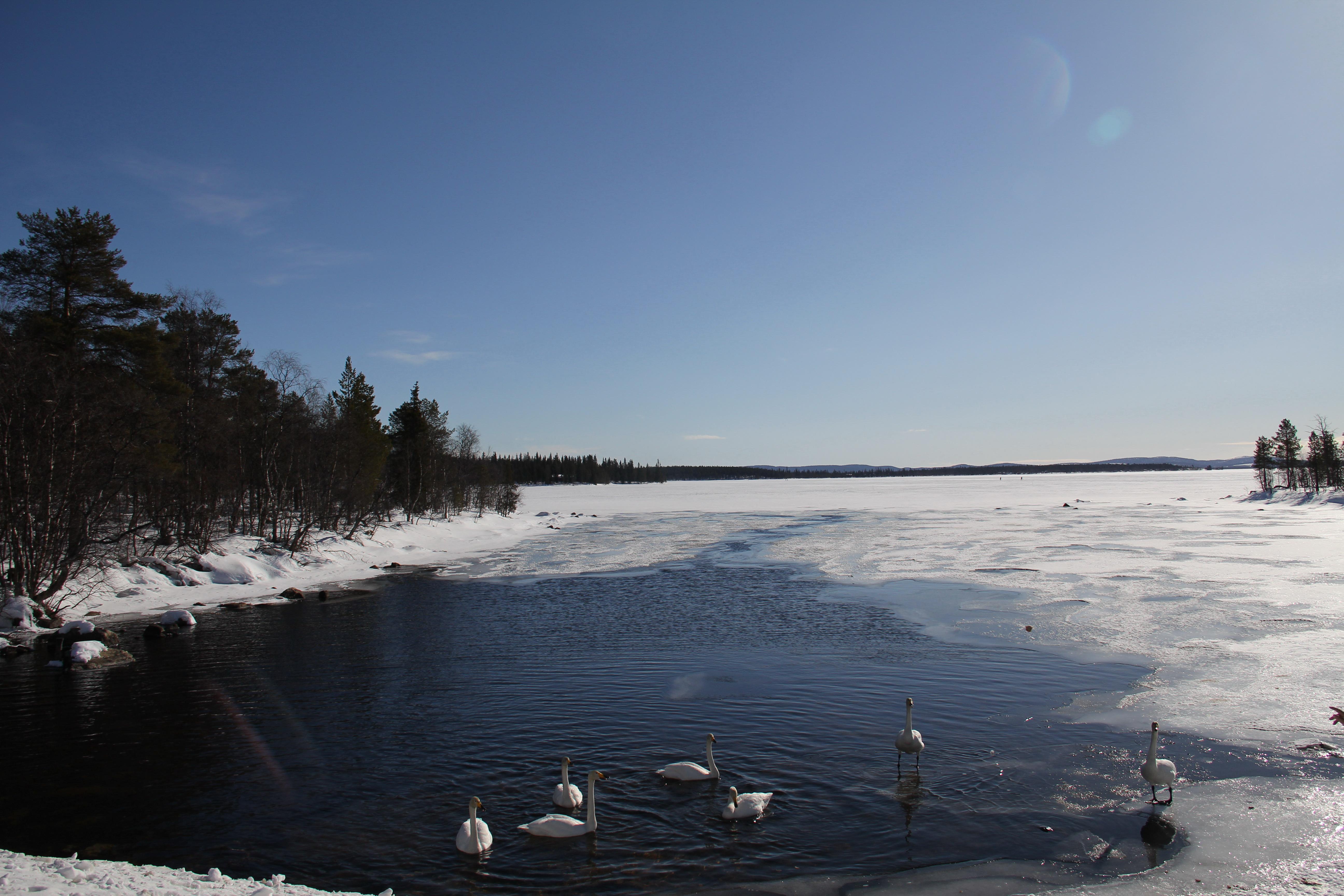 Jerisjärvi