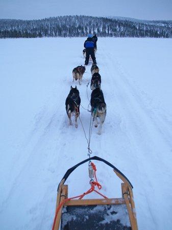 Kamisak Husky and Horse Expeditions - Day Tours