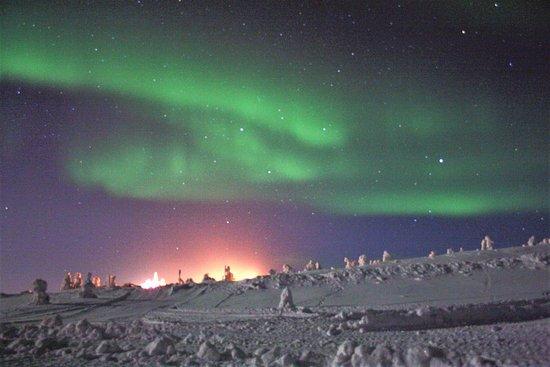 Lapland's Nature Experience