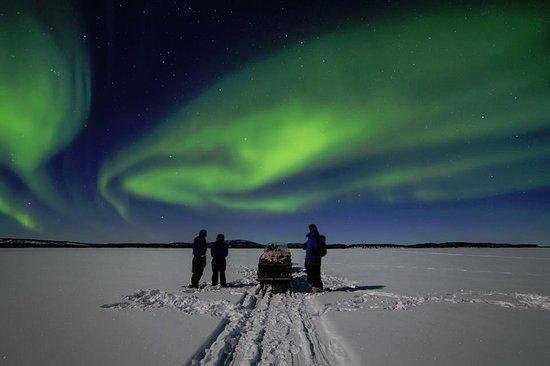 Ivalo Safaris