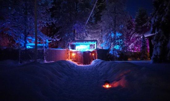 Winter Laser World - Levi