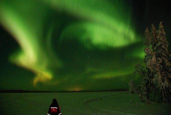 Scandinavian Travel Group