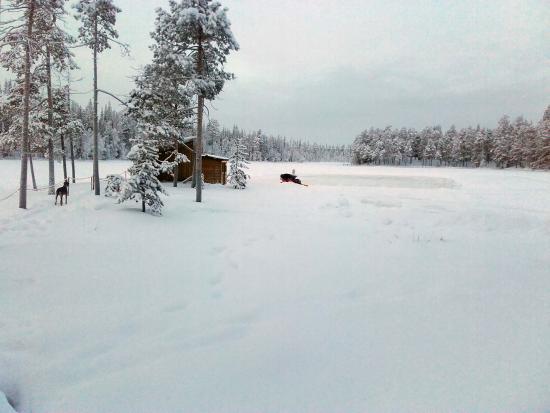 Luosto Ice Skating Park