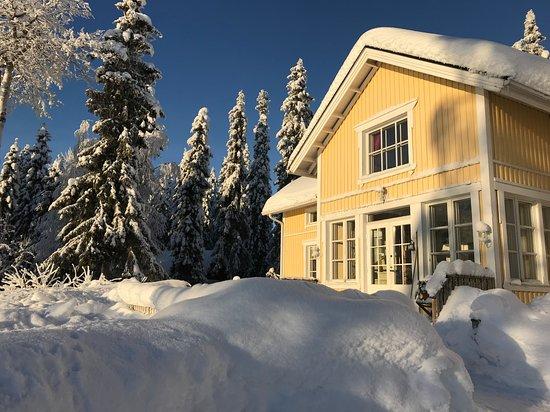 Snowest Travels