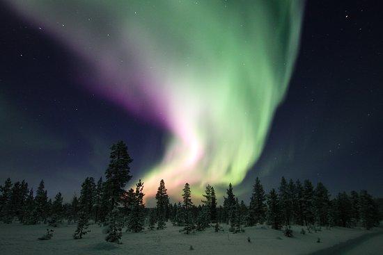 Ivalo Trek Lapland
