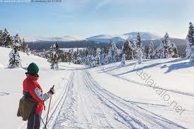 Kukastunturi